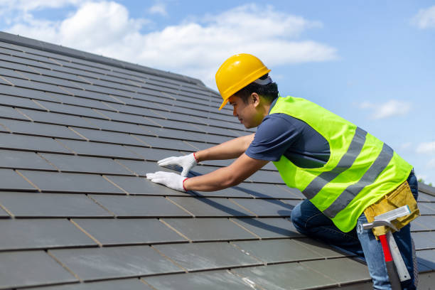 Best Metal Roofing Contractor  in Irvington, KY