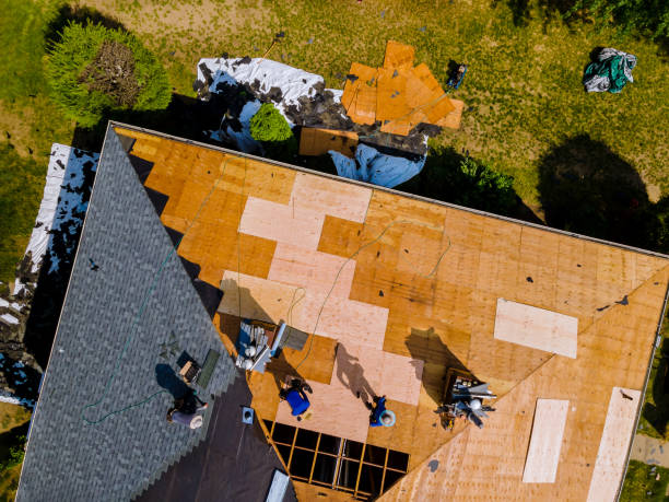 Best Gutter Installation and Roofing  in Irvington, KY